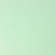 Simili cuir Vert menthe
