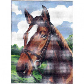 Kit Canevas Portrait Cheval 15 x 20 cm