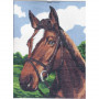 Kit Canevas Portrait Cheval 15 x 20 cm