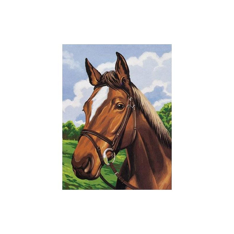 Kit Canevas Portrait Cheval 15 x 20 cm