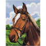 Kit Canevas Portrait Cheval 15 x 20 cm