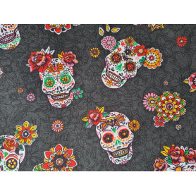 Coton "Calavera"