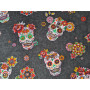 Coton "Calavera"