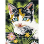 Kit Canevas Portrait Chat 15 x 20 cm