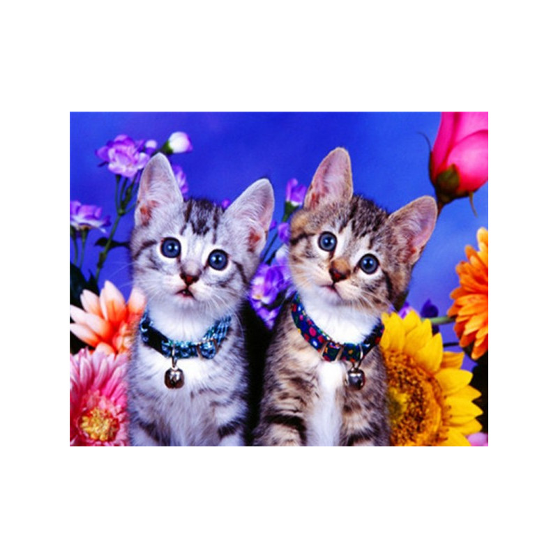 Kit de broderie diamant - Duo de chats