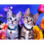 Kit de broderie diamant - Duo de chats