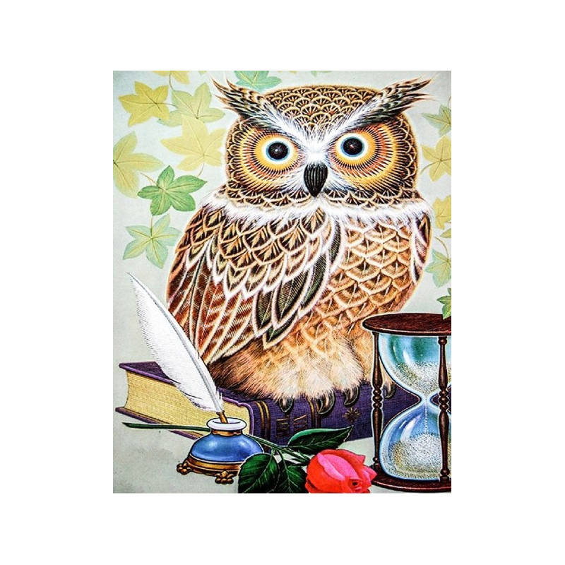 Kit de broderie diamant - Hibou
