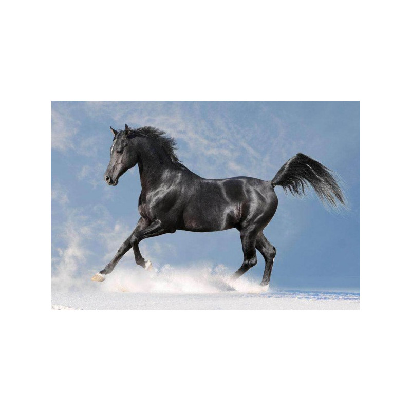 Kit de broderie diamant - Cheval