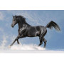 Kit de broderie diamant - Cheval