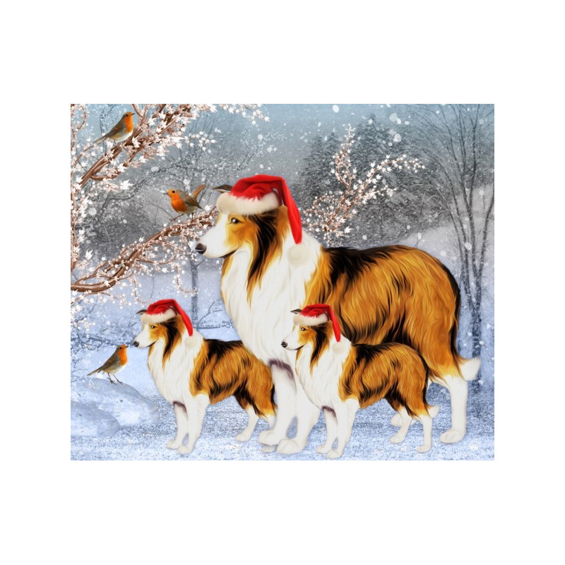 Kit de broderie diamant - Noël