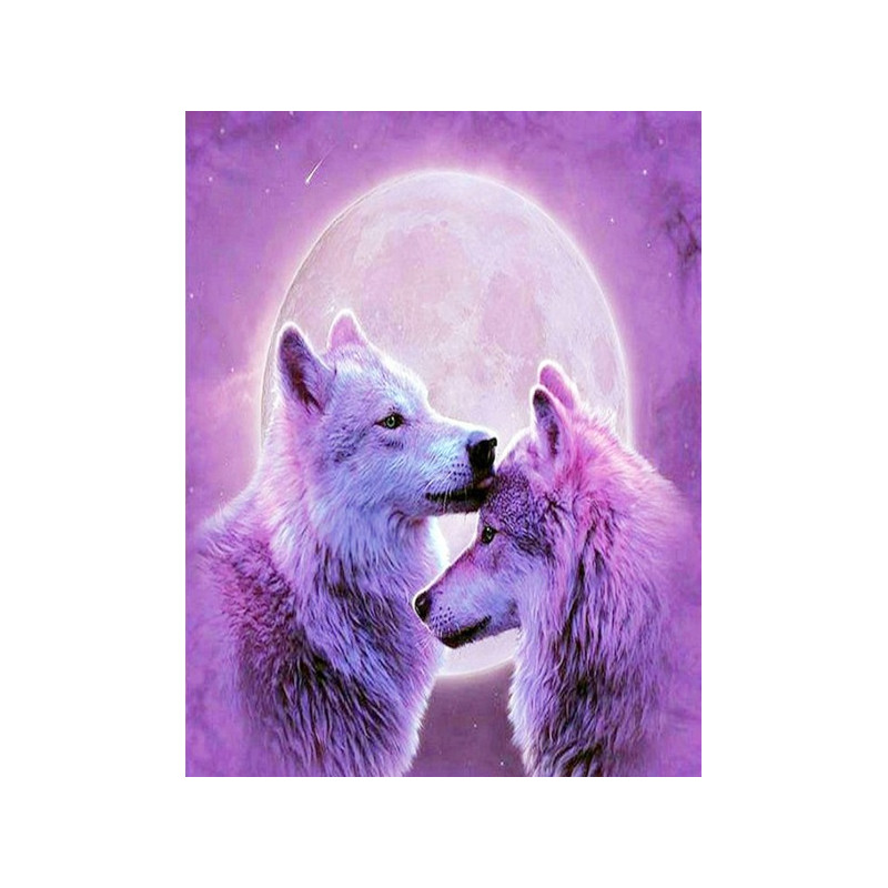Kit de broderie diamant - Pleine Lune