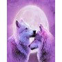 Kit de broderie diamant - Pleine Lune