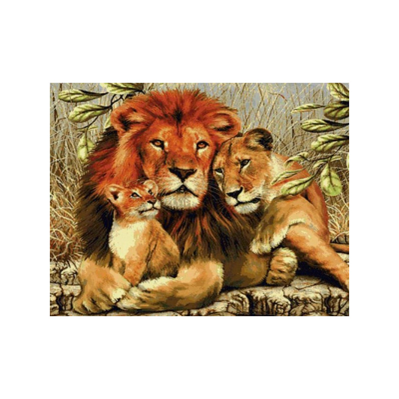 Kit de broderie diamant - Lions