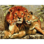 Kit de broderie diamant - Lions