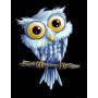 Kit de broderie diamant - Hibou