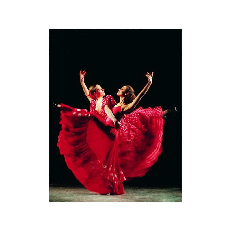 Kit de broderie diamant - Danseuses