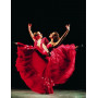 Kit de broderie diamant - Danseuses