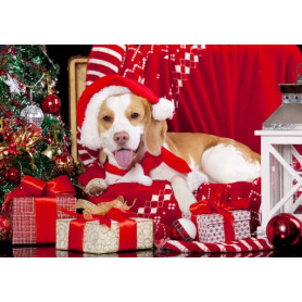 Kit de broderie diamant - Noël