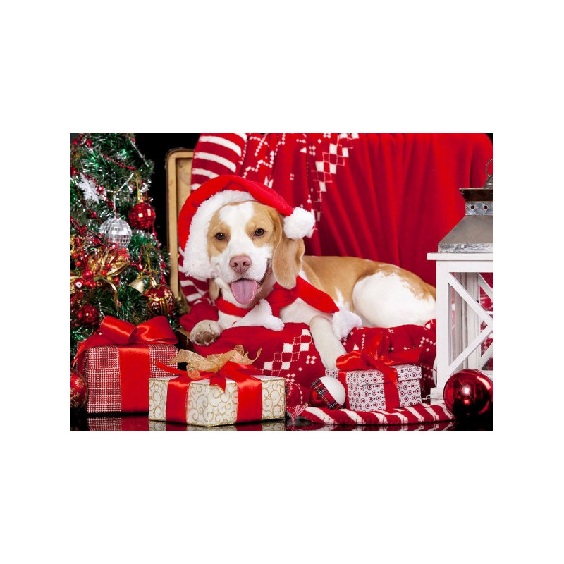 Kit de broderie diamant - Noël