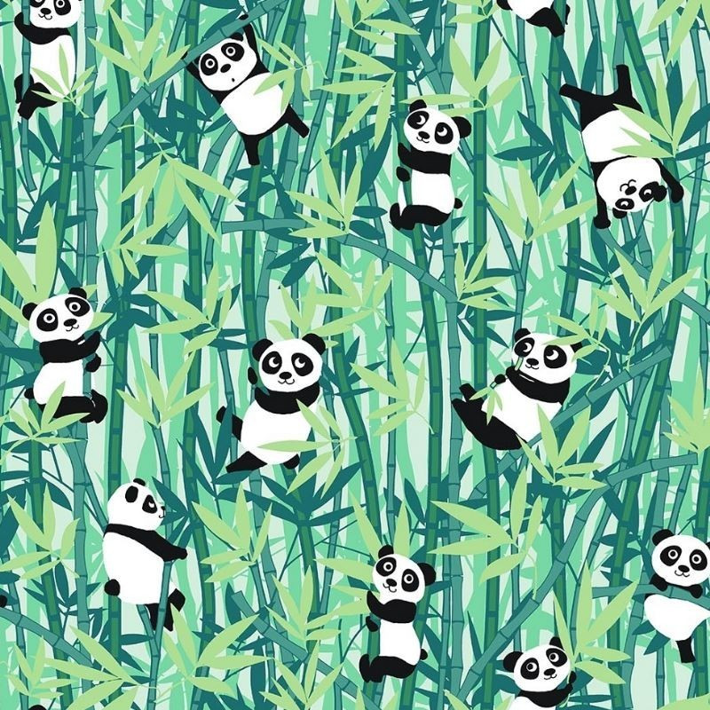 Coton "Pandas"