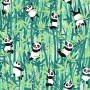 Coton "Pandas"