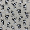 Toile Palace"Mickey Mouse"