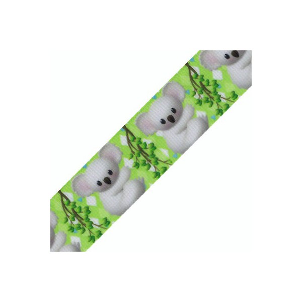 Ruban Koala Ruban Koala