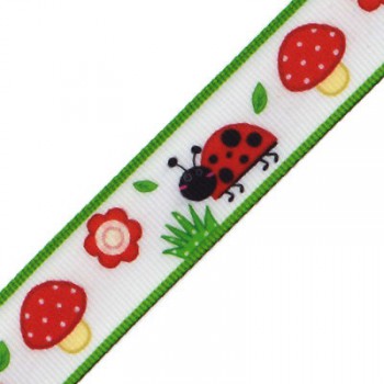 Ruban Coccinelle
