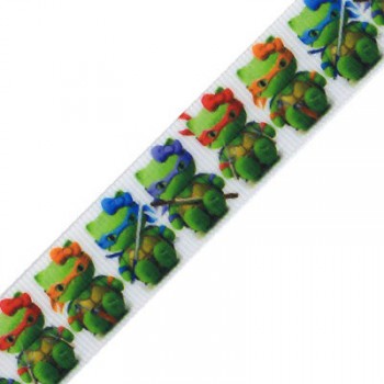 Ruban Tortues Ninja