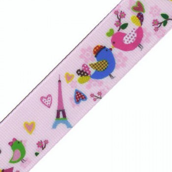 Ruban Oiseaux