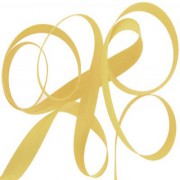 Biais 20mm Jaune citron