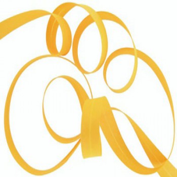 Biais 20mm Jaune orangé