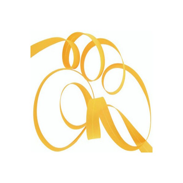 Biais 20mm Jaune orangé Biais 20mm Jaune orangé