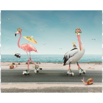 Jersey Stenzo "Flamands roses"